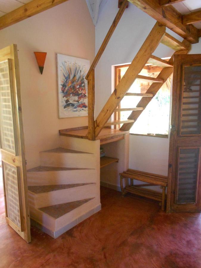 Palm-Covered House In The Tropical -Casa Oli Las Galeras Luaran gambar