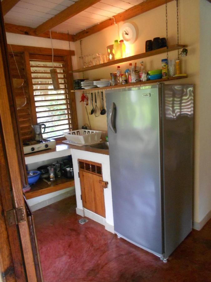 Palm-Covered House In The Tropical -Casa Oli Las Galeras Luaran gambar
