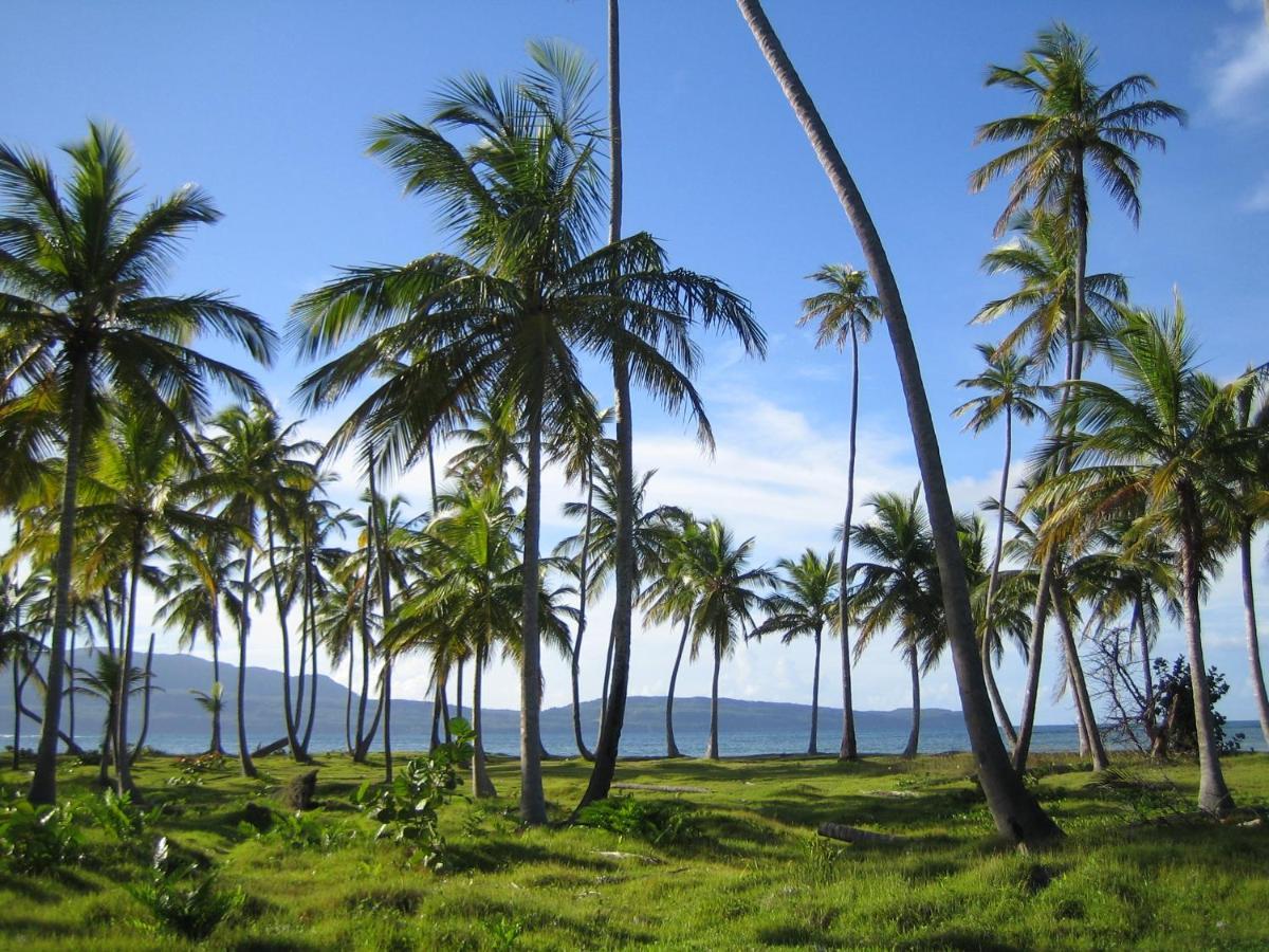Palm-Covered House In The Tropical -Casa Oli Las Galeras Luaran gambar