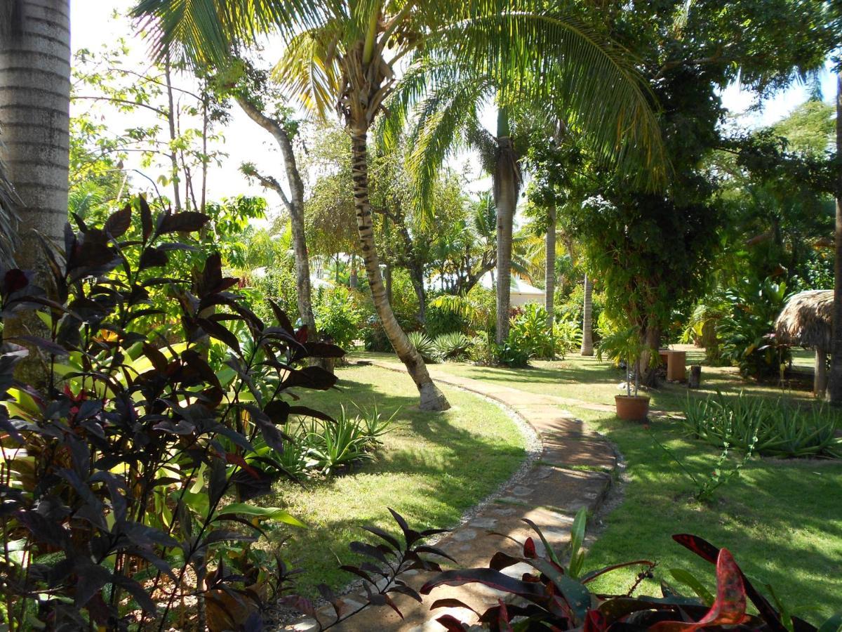 Palm-Covered House In The Tropical -Casa Oli Las Galeras Luaran gambar